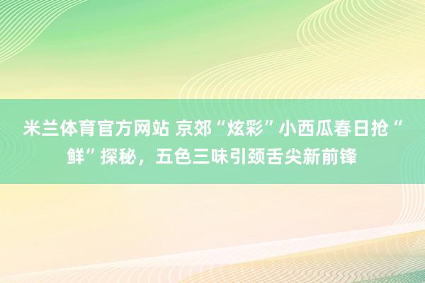 米兰体育官方网站 京郊“炫彩”小西瓜春日抢“鲜”探秘，五色三味引颈舌尖新前锋