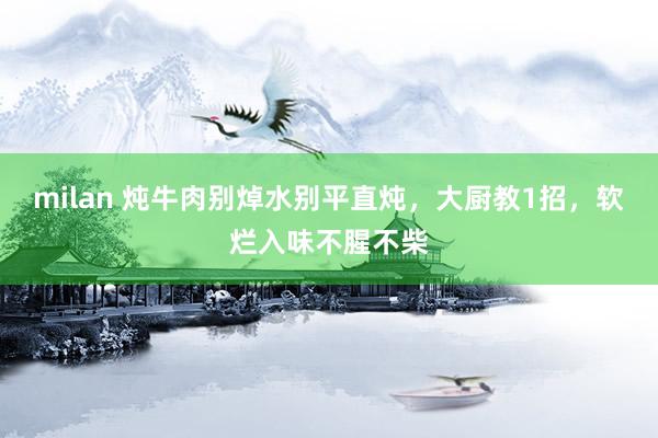 milan 炖牛肉别焯水别平直炖，大厨教1招，软烂入味不腥不柴