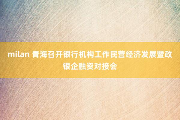 milan 青海召开银行机构工作民营经济发展暨政银企融资对接会