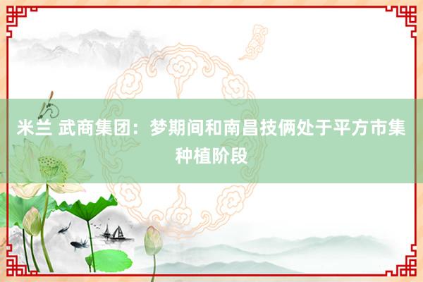 米兰 武商集团：梦期间和南昌技俩处于平方市集种植阶段
